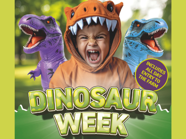 Admission 2026 - Dinosaur event, May half term, soft play & Falconry