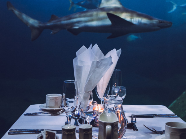 Dine at The Aquarium