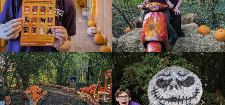 Pumpkin Woods