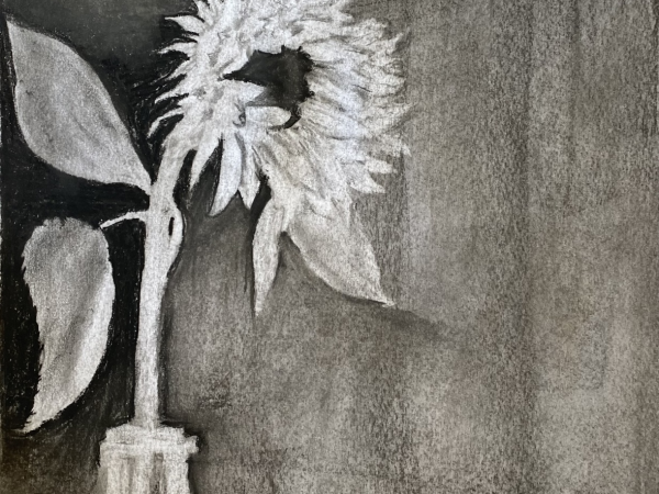Art Exhibition- Exploring charcoal with Tina