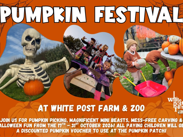 2026 Pumpkin Festival