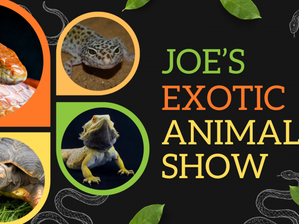 Exotic Animal Show