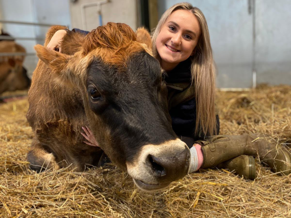 Calf Encounter