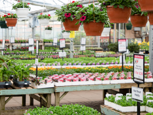 Lets' Talk Spring Bedding