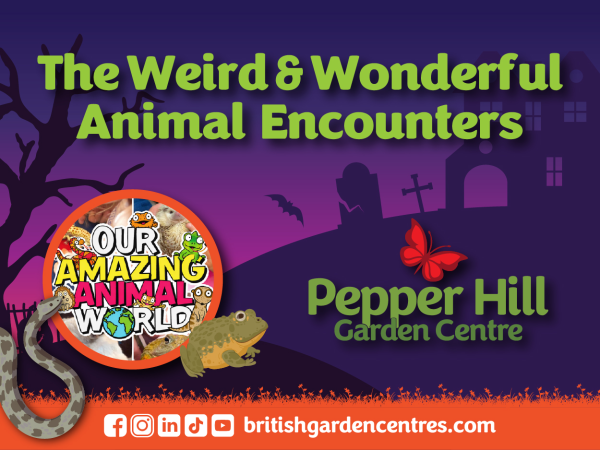 Pepper Hill Weird & Wonderful Animal Encounters