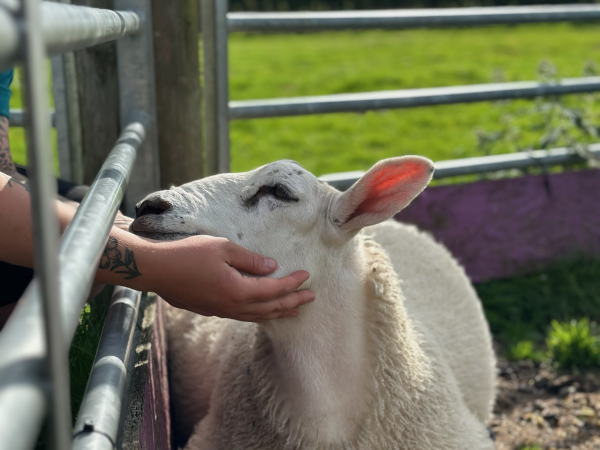 Hands on Farm Experience