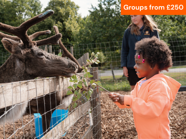 VIP FAMILY FARMYARD EXPERIENCE