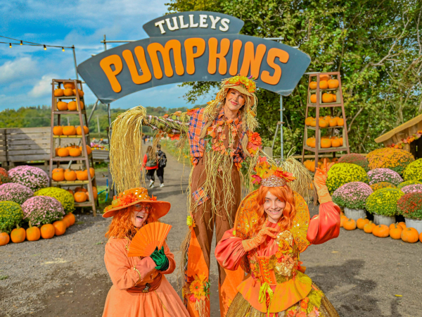 DAYTIME PUMPKIN FESTIVAL 2026