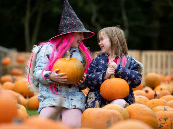 Halloween Fun & PYO