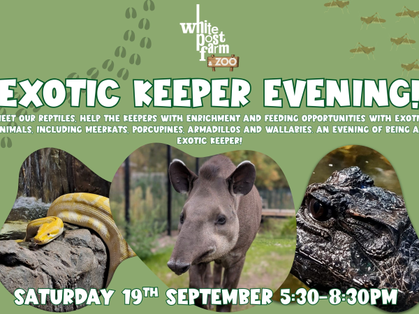 Exotic Keeper Evening - Saturday 19th September