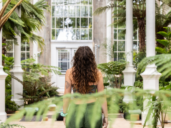 Palm Houses Creative Writing Day