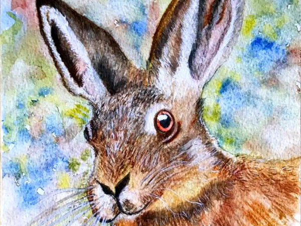 2027 Workshop: Spring Watercolour Hare