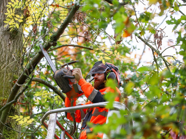 Talk: Behind the scenes of landscape management