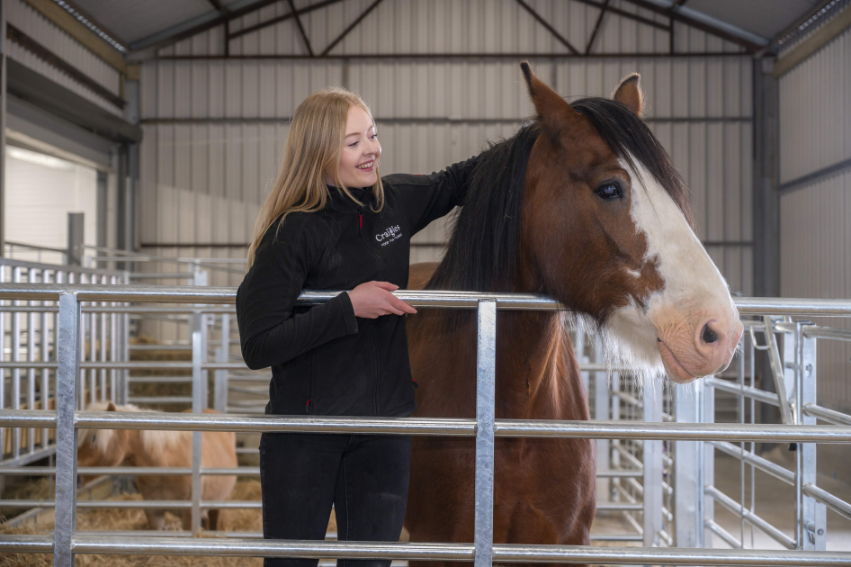 Buy Craigies Clydesdale Experience Tickets online Craigies Farm