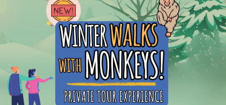 Exclusive Private Tours: Winter Walks With Monkeys!