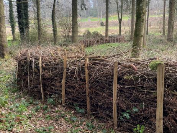 Everything Benjes. 15th October at 2pm.