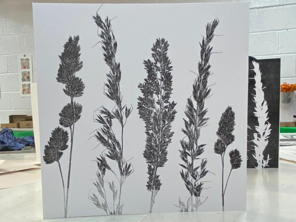 Art Exhibition- Botanical Monoprinting Workshop Taster with Claire 