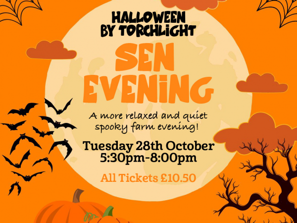 Halloween by Torchlight - SEN Evening