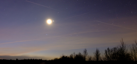 Nocturnal Nature Night