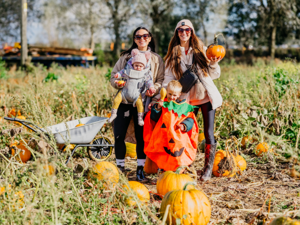 PYO Pumpkins