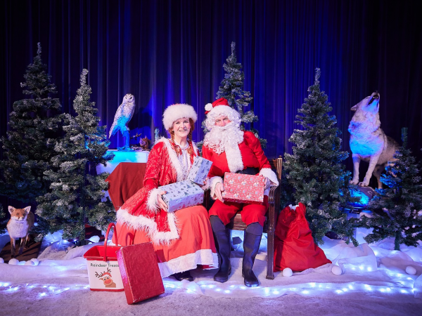 Christmas at the Museum 2024