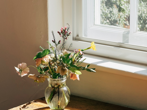 Holiday Workshop: Artist Botanicals: Casting and Printing, 11 August 2026