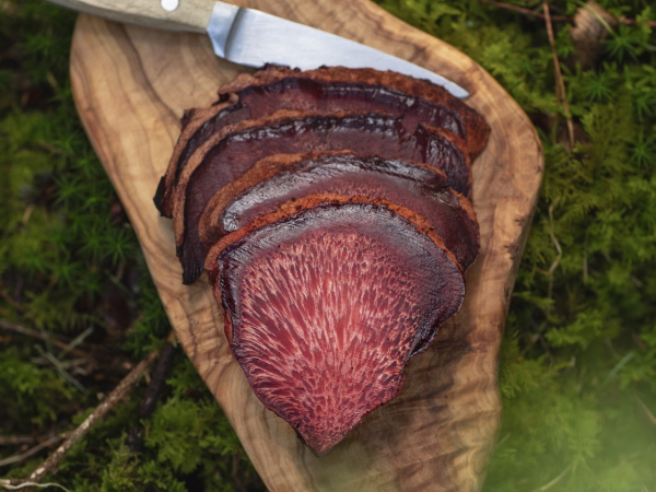 Wild Harvest - Foraging & Woodland Lunch