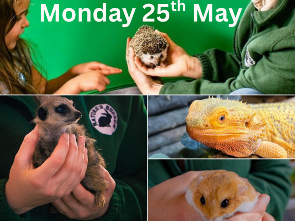 Nature Burrows Encounters - Monday 25th May
