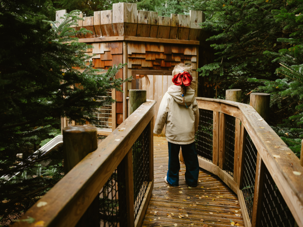 Autumn Family Explorer and The Plotters Forest