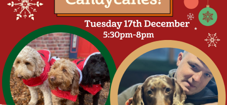 Canines and Candycanes