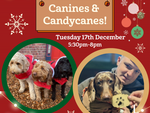 Canines and Candycanes