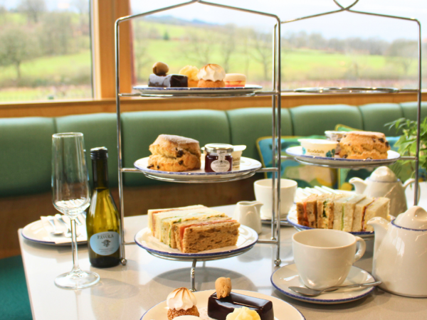 Afternoon Tea