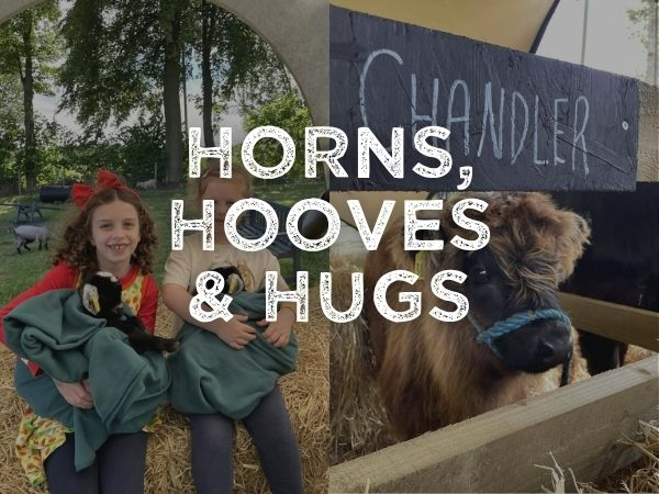 Horns, Hooves & Hugs
