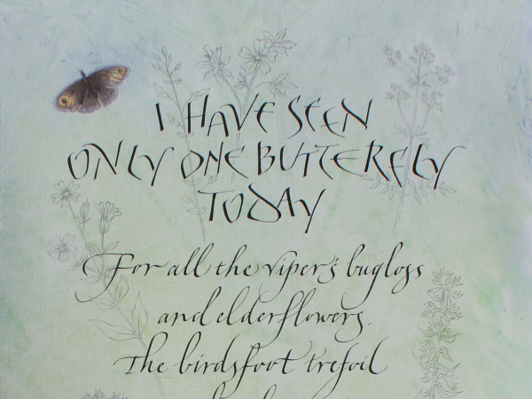 Calligraphy: All Things Italic & Modern Pointed Pen