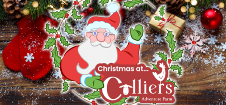 Christmas evening experience at Colliers Adventure Farm