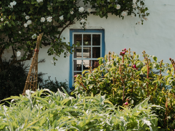 Wildlife Walk: Summer