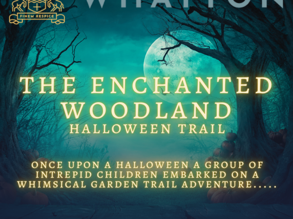 Enchanted Halloween Woodland Trail