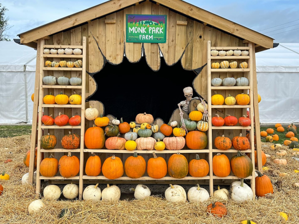 The Great Yorkshire Pumpkin Patch - Daytime Entry