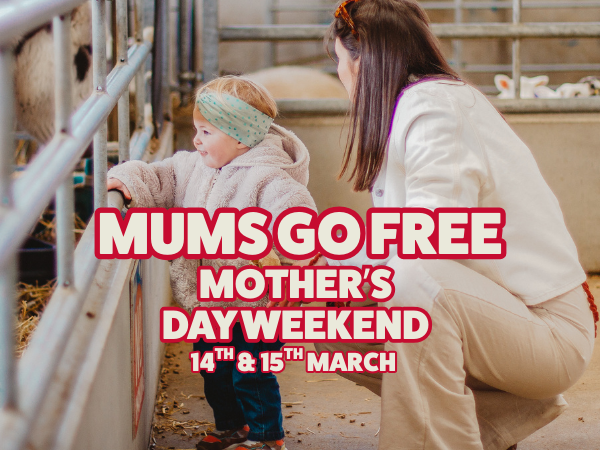 Admission to Rand Farm Park