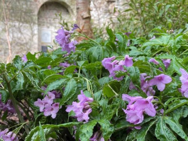 Showing off some Spring Gems. 23rd April