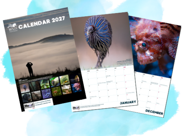 BIAZA 2027 Calendar