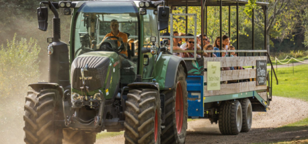 Pick-Your-Own Pumpkins and Tractor Rides