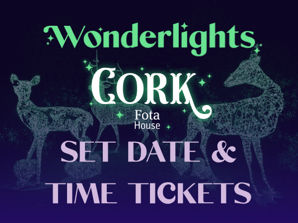 Wonderlights at Fota House