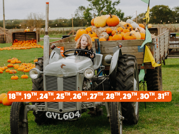 Daytime Pumpkin Festival 2025 (Weekends and School Holidays)