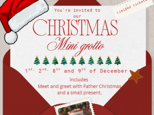 Mini Christmas experience
