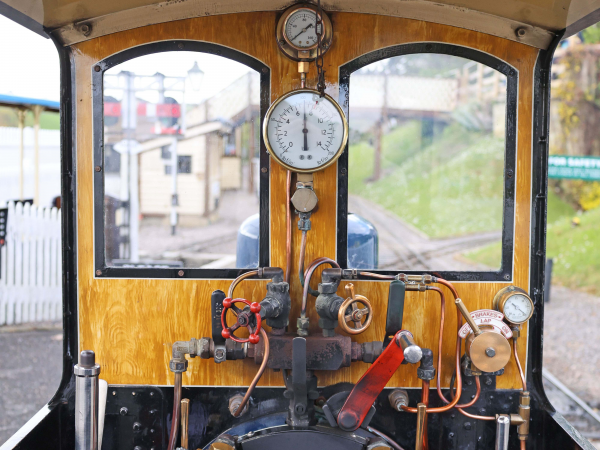 Advanced Steam Driver Experience