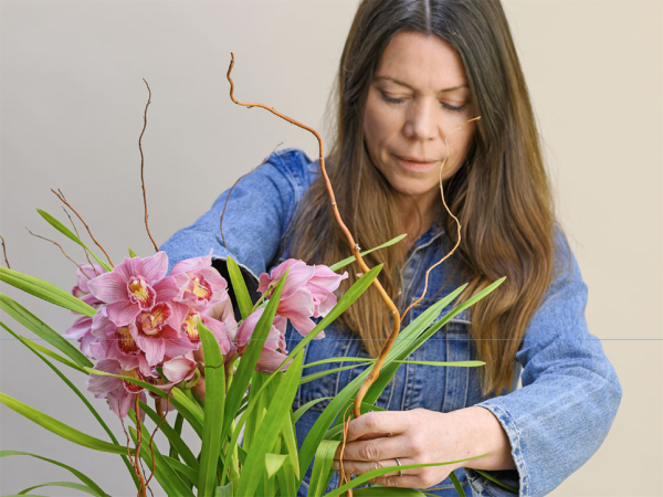 Sarah Gerrard-Jones: Love Your Orchid- 14th November- 10:30-12:00