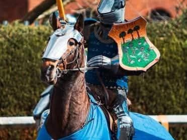 Jousting Tournament (20th & 21st June)