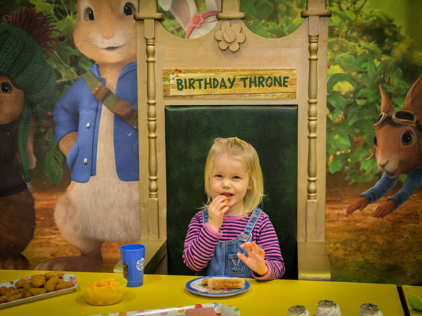 Birthday Party Large (16 -30 children)