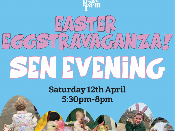 Easter EGGstravaganza! - SEN Evening